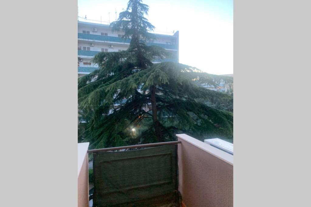 Residenza Giovanni Paolo Secondo- Casa Sull'Albero Bari Exterior foto